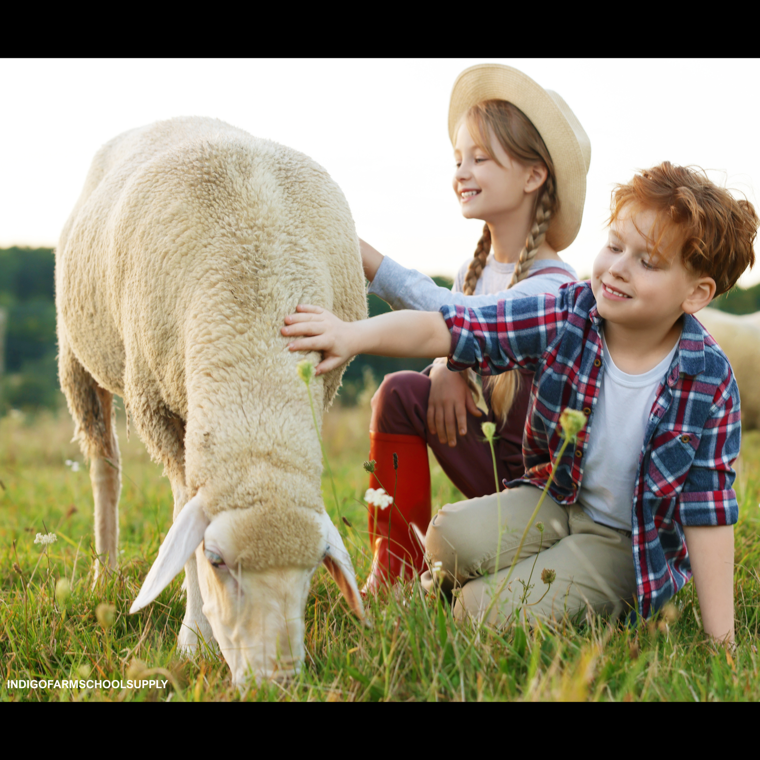 Homestead & Farm Essentials