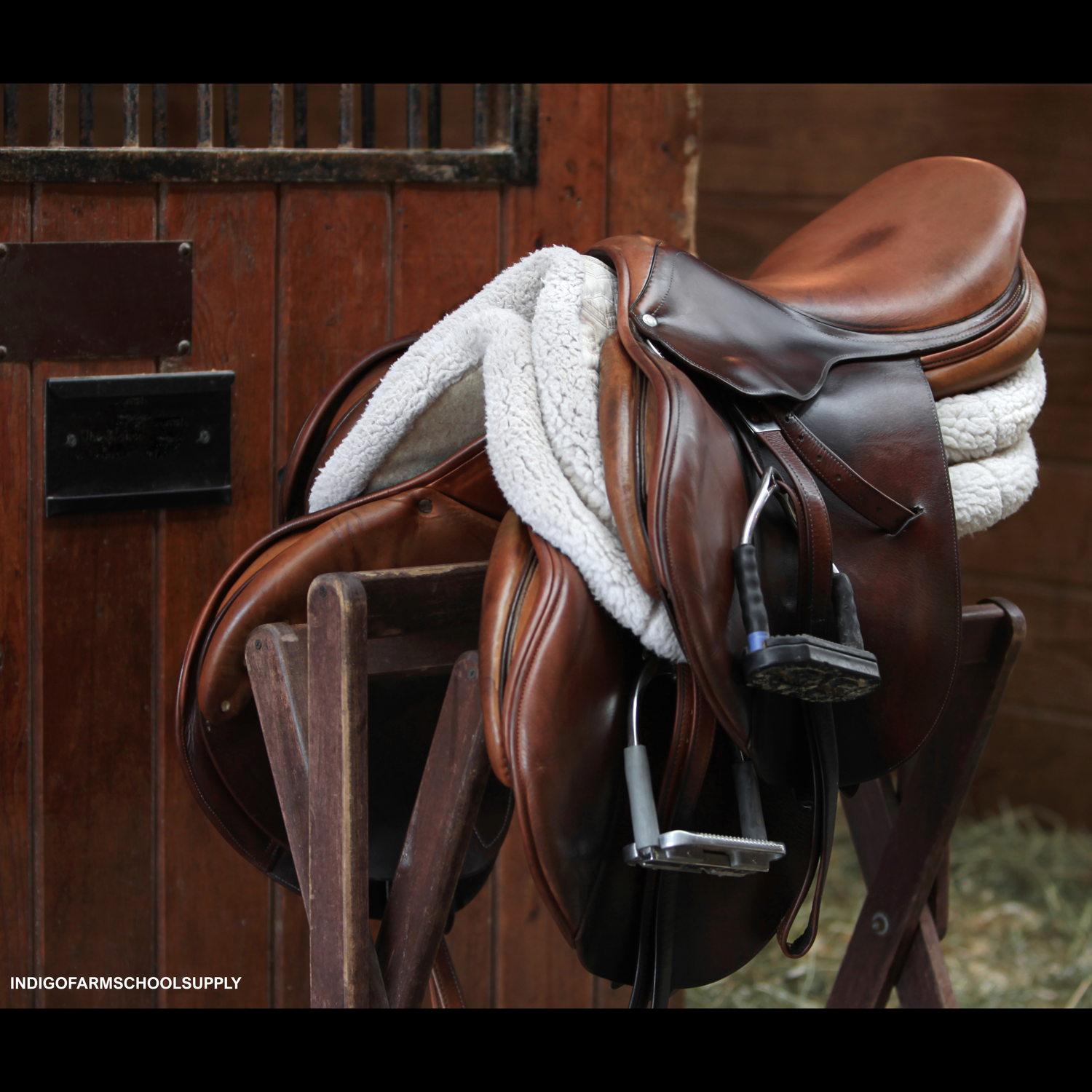 Equine Sports Equipment