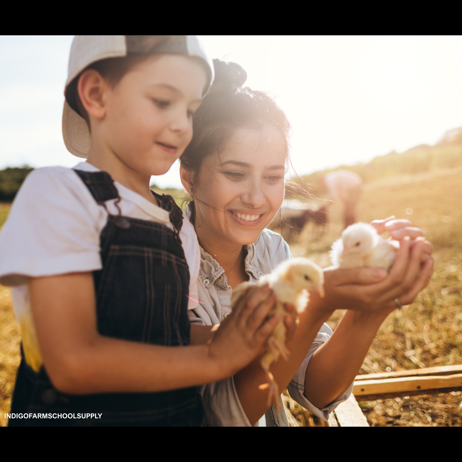 Animal Husbandry Supplies