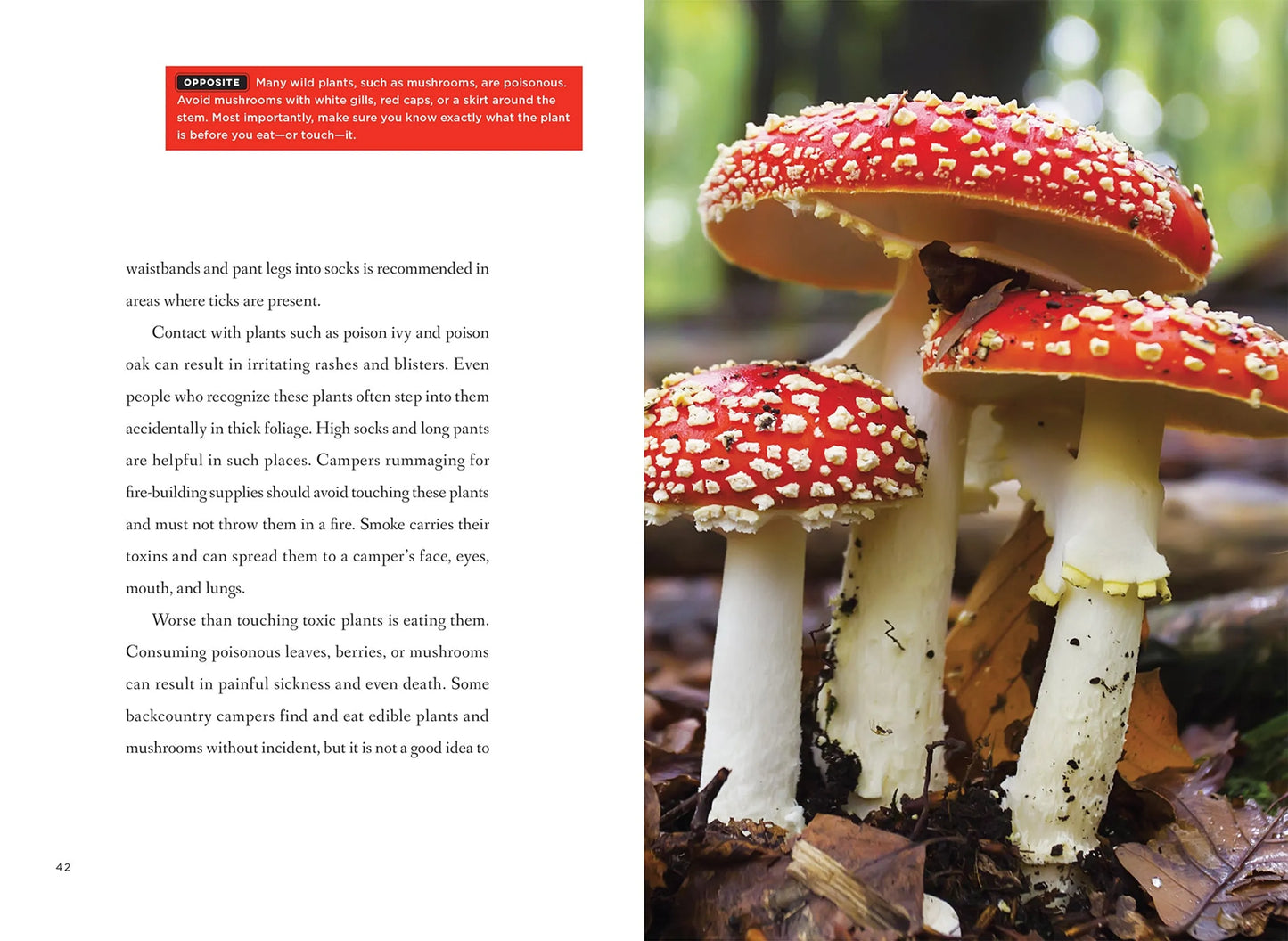 Odysseys in Outdoor Adventures Series