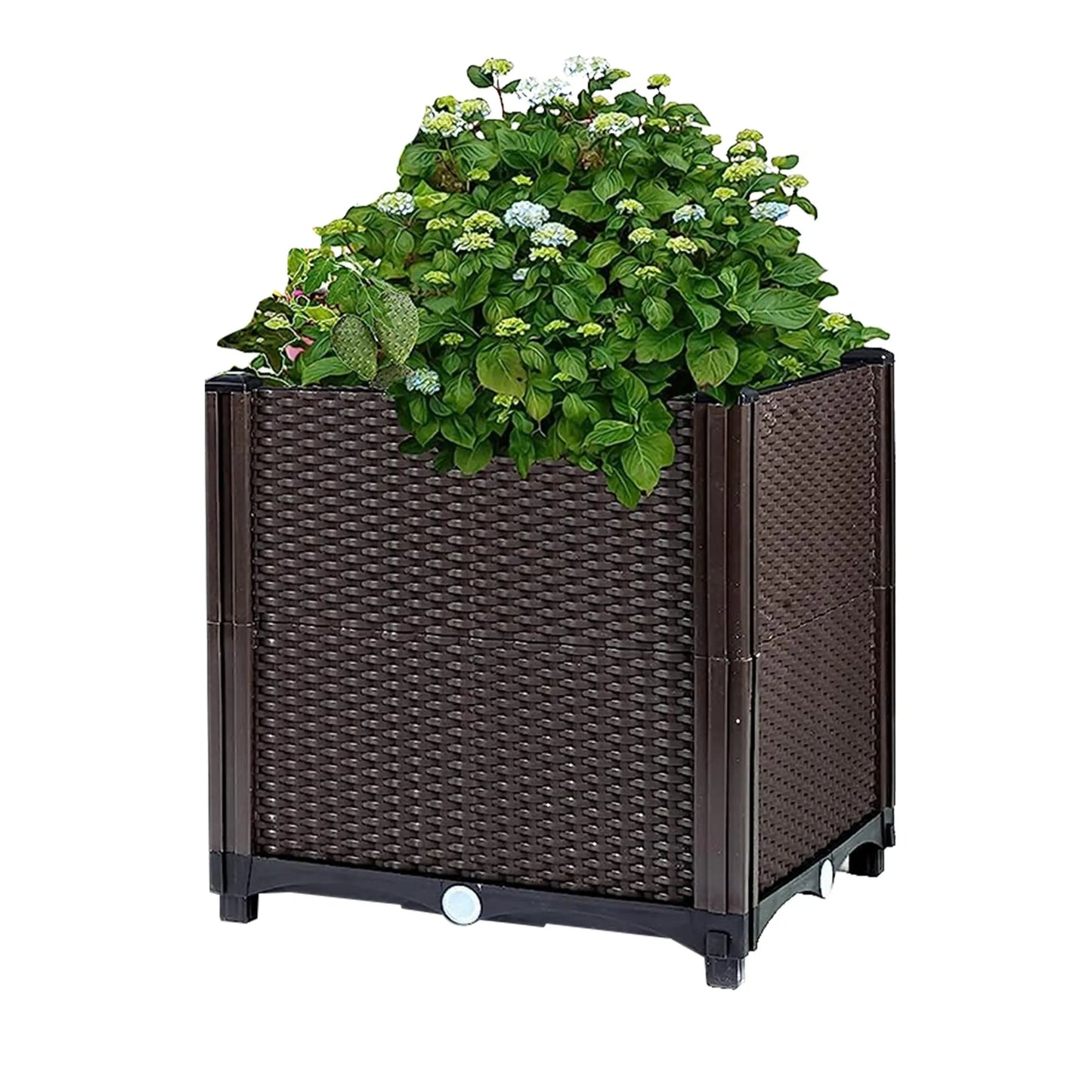 Raised Garden Bed Plant Growth Box