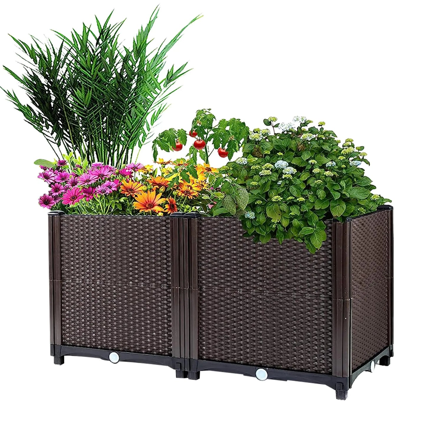 Raised Garden Bed Plant Growth Box