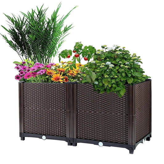 Raised Garden Bed Plant Growth Box
