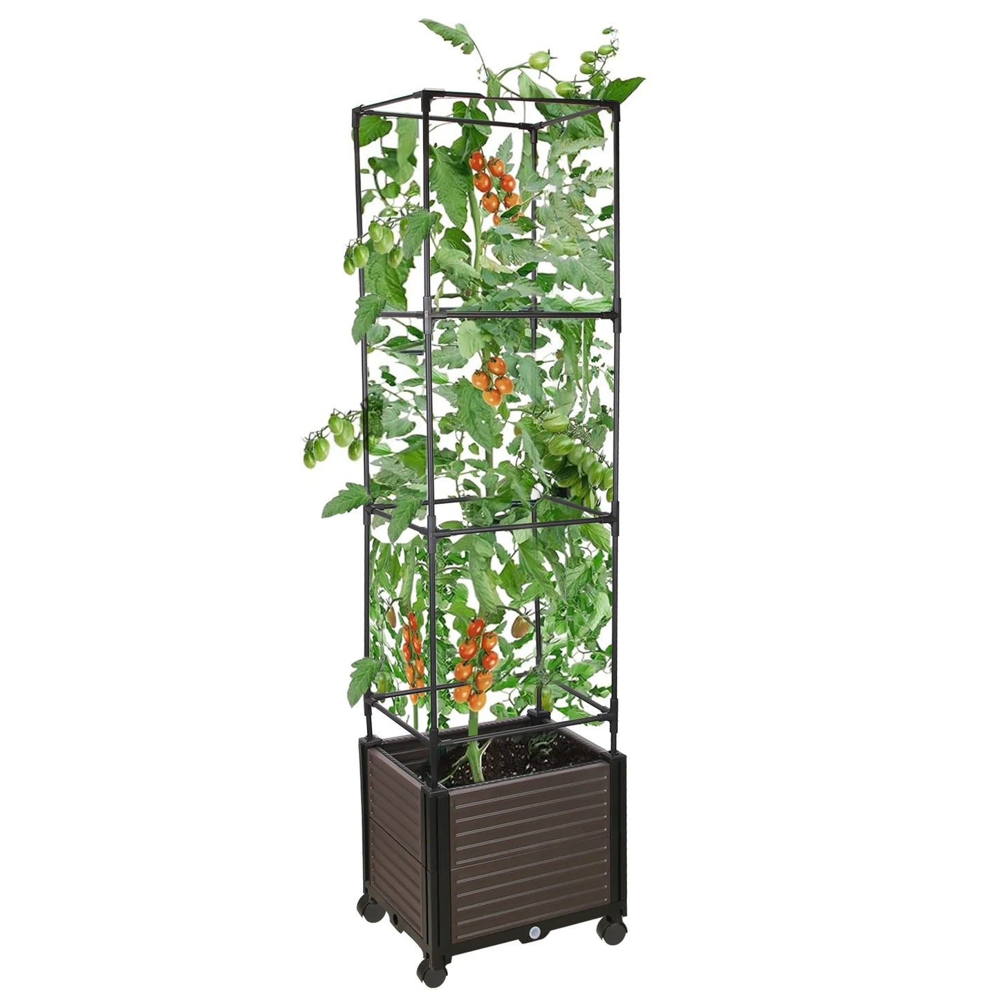 62.99IN Raised Garden Bed Planter Box